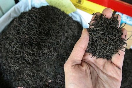 محکومیت بیش از ۲ میلیارد ریالی برای نگهداری چای قاچاق در ارومیه