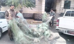 جمع‌آوری ۱۷۰۰ متر تور صیادی غیرمجاز از سد چپرآباد اشنویه