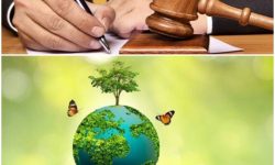 صدور حکم سبز محیط‌زیستی در ارومیه