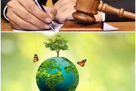 صدور حکم سبز محیط‌زیستی در ارومیه