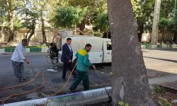 اجرای عملیات محلول‌پاشی اسید هیومیک برای تقویت درختان چنار ارومیه