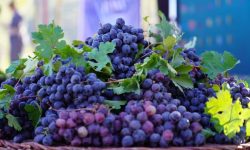 رویدادهای گردشگری؛ موتور محرک توسعه زیرساخت‌ها در آذربایجان‌غربی