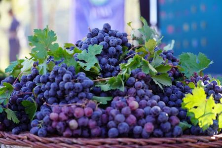 رویدادهای گردشگری؛ موتور محرک توسعه زیرساخت‌ها در آذربایجان‌غربی