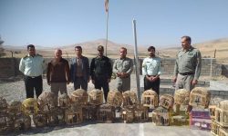 زنده‌گیر کبک در بوکان به دام قانون افتاد