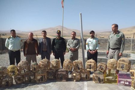 زنده‌گیر کبک در بوکان به دام قانون افتاد