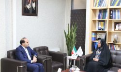 برنامه‌ریزی برای حضور تولیدکنندگان اسباب‌بازی در ارومیه