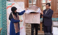 رونمایی از کتاب «منبت‌کاری گل و بوته سنتی ارومیه» با حضور معاون صنایع‌دستی کشور
