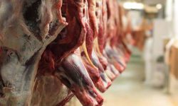 ضبط و معدوم‌سازی گوشت غیر بهداشتی در ارومیه