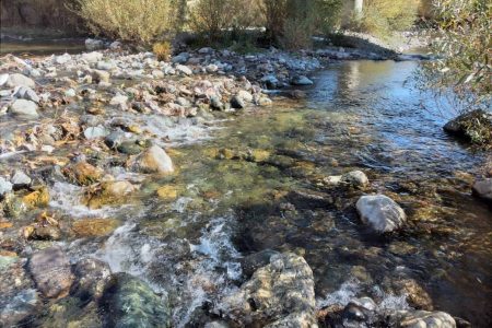 پایش کیفی آب رودخانه‌های شهرچای و باراندوزچای ارومیه در فصل پاییز