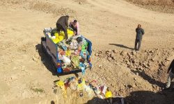 امحای بیش از ۲ تُن مواد غذایی فاسد در میاندوآب