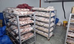 انبار گوشت فاسد در نقده پلمب شد؛ یک متهم دستگیر شد