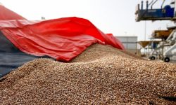 تسریع در ترخیص نهاده‌های دامی با پیگیری مستقیم دادگستری آذربایجان‌غربی