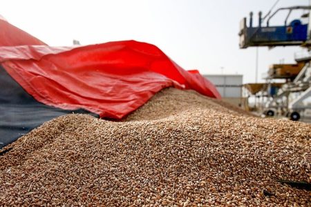 تسریع در ترخیص نهاده‌های دامی با پیگیری مستقیم دادگستری آذربایجان‌غربی