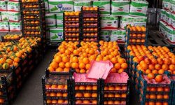 آغاز نظارت جدی بر تأمین و توزیع میوه شب عید در آذربایجان‌غربی