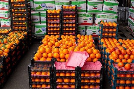آغاز نظارت جدی بر تأمین و توزیع میوه شب عید در آذربایجان‌غربی