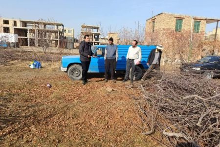 توقف سه عملیات غیرمجاز ساخت‌وساز و قطع اشجار در ارومیه با ورود فوری یگان حفاظت