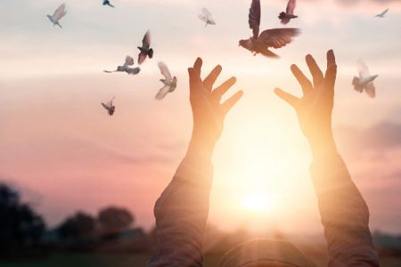 نوزدهمین پرونده قتل عمد آذربایجان‌غربی به سازش انجامید