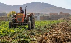 افزایش اراضی کشاورزی در ۲۰ سال گذشته، ۲ میلیارد متر مکعب از حق‌آبه دریاچه ارومیه را بلعید