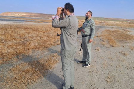 پایش میدانی وضعیت بهداشتی پرندگان مهاجر در پارک ملی دریاچه ارومیه