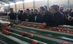 افتتاح سردخانه ۲ هزار تنی و ۲ واحد سورتینگ میوه در اشنویه