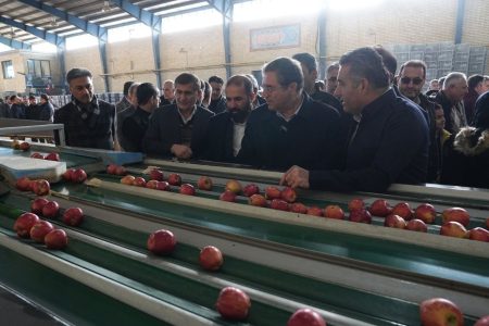 افتتاح سردخانه ۲ هزار تنی و ۲ واحد سورتینگ میوه در اشنویه