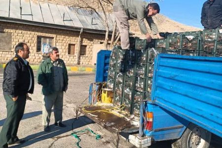 توقیف وانت نیسان حامل ۱۸۰۰ کیلوگرم ماهی صید غیرمجاز در خوی